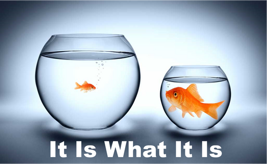 “It Is What It Is!”