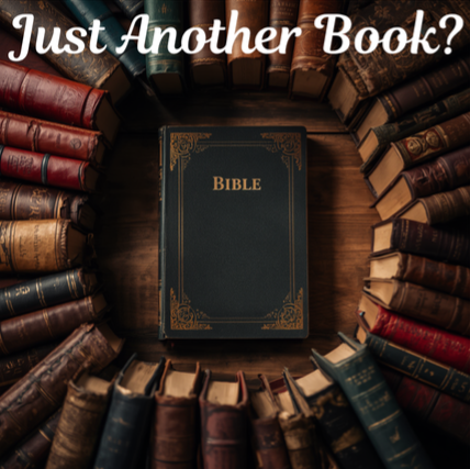 Just Another Book?