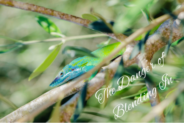 The Danger of Blending In
